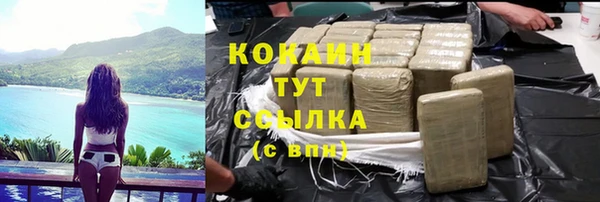 прущие грибы Беломорск
