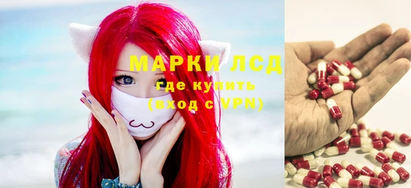 прущие грибы Беломорск