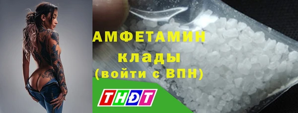 прущие грибы Беломорск