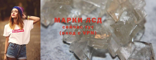 прущие грибы Беломорск