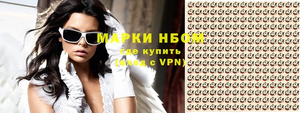 прущие грибы Беломорск