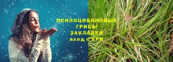 ПСИЛОЦИБИНОВЫЕ ГРИБЫ Снежногорск