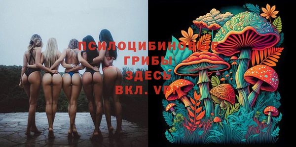 прущие грибы Беломорск