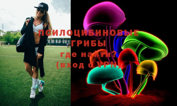 прущие грибы Беломорск