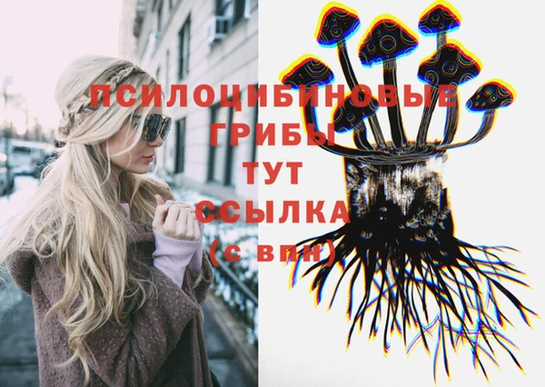 jwh Белокуриха