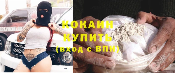 прущие грибы Беломорск