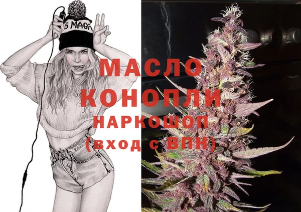 дживик Слюдянка