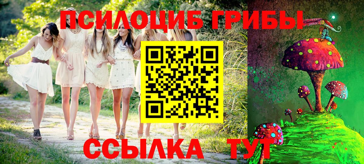 Псилоцибиновые грибы Psilocybine cubensis  купить закладку  Видное 